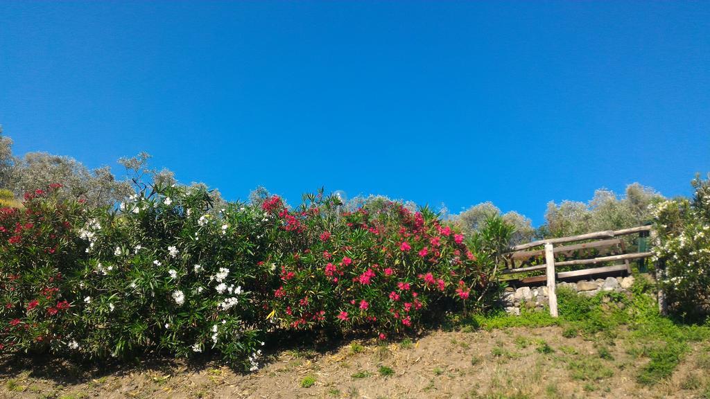 Agriturismo La Quiete Levanto Ngoại thất bức ảnh