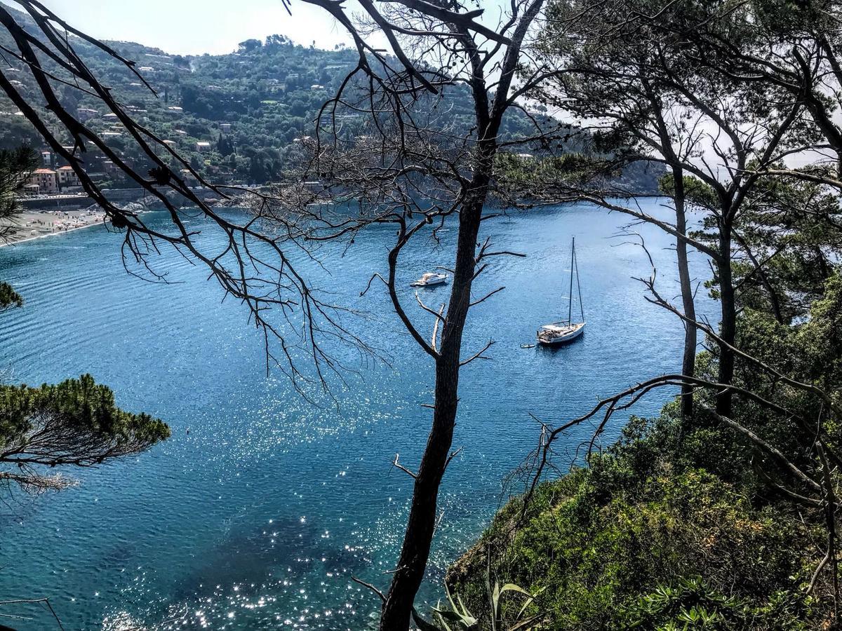 Agriturismo La Quiete Levanto Ngoại thất bức ảnh